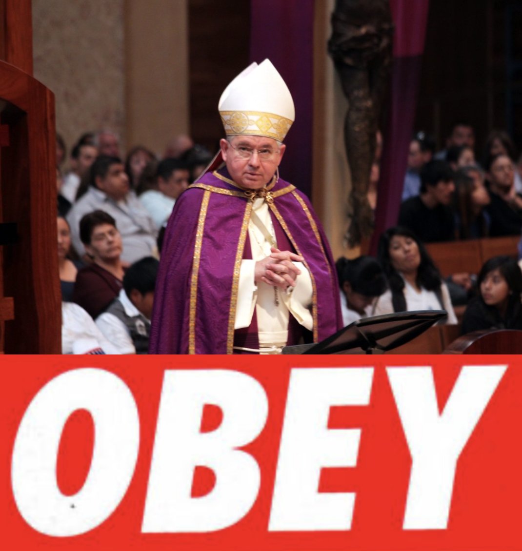 _CatholicWest's tweet image. One of the great things about Catholicism: you don’t need to debate everything; just obey your bishop. Kneel during the Agnus Dei? Optional in LA. Hold your palms out during the Our Father? Sure. Don’t overthink it. Bishops got this. Ditch that Yankee rebel spirit where you…