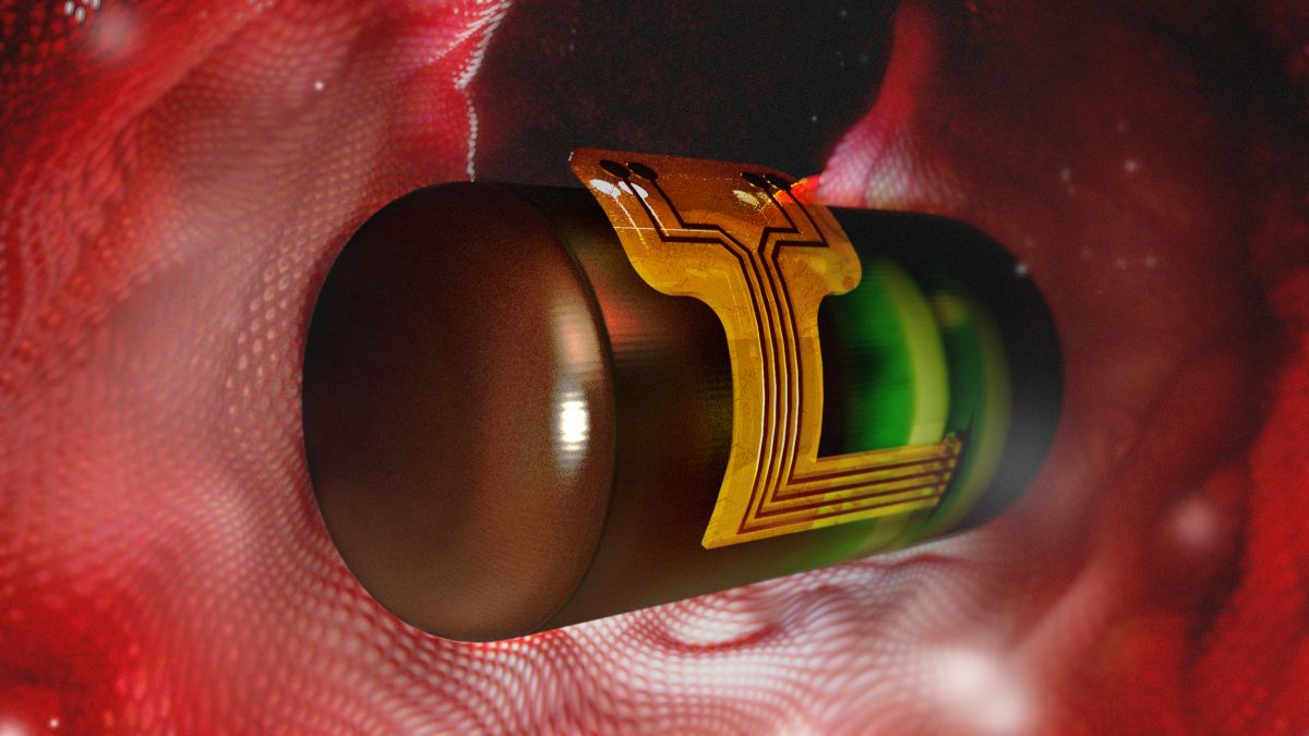 NSF's tweet photo. The future of medicine is here, thanks to federally funded science. Tracking blood flow speed for cardiac monitoring &amp; illuminated disease-detection diagnostics are among the latest #NSFfunded medical advancements. 🩸💡 https://t.co/JKxsQ4DAFl

📷: Jeff Fitlow/@RiceUniversity https://t.co/gnBfIecVz7
