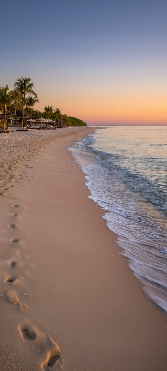 Paperoidd's tweet image. Serentra 🌅