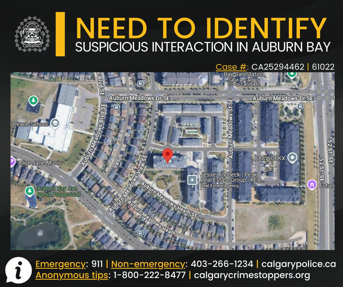 CalgaryPolice's tweet photo. 🔎 NEED TO IDENTIFY 🔍

We are looking for information from the public following a suspicious interaction involving a group of children in the community of Auburn Bay.

📍 At approx. 4:30 p.m. on Tuesday, July 8, 2025, it is believed 3 children were playing in a greenspace behind a condominium complex in the 300 block of Auburn Meadows Manor S.E., when an unknown man approached them & asked if they had seen his dog. The children confirmed they had seen a black-&-white dog run by moments earlier & pointed in the direction it had gone. The man then walked away. 

📍 Approx. 30 minutes later, the same man is believed to have returned in a vehicle & approached the children, who were now near a row of mailboxes on the east side of the complex. While remaining in his vehicle, he asked them for help locating his dog & offered them candy in exchange for their assistance. One of the children said they would help but declined the offer of candy. The man is alleged to have replied that they “deserve a reward,” & then promptly drove away. The children fled to the home of a trusted adult & informed their family members about the encounter.

After exhausting all investigative avenues to identify the man & vehicle, police are turning to the public in hopes of advancing the investigation.

👤 The man is described as in his 30s & approximately 5’5” tall, with a light complexion, short brown hair & a heavy build. He was wearing a blue shirt & brown cargo shorts & was driving a blue-grey-coloured car.

🗣️ We encourage parents & guardians to speak with their children about personal safety & the importance of staying alert around strangers.

📣 Anyone with information about the man, vehicle, or incident is asked to contact police.

Information?
☎️ CPS: 403-266-1234
🛑 @stopcrimeyyc
 
⚖ Case #: CA25294462 | 61022