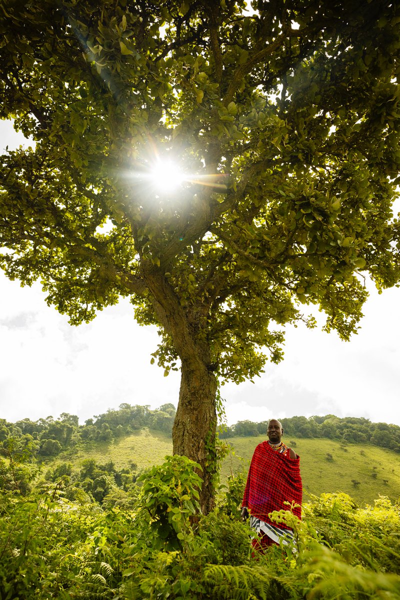 Postcards from the Garden of Eden, - Chyulu hills