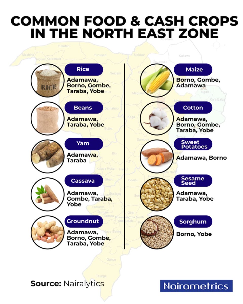 Nairametrics's tweet image. Ever wondered what powers the farms of Nigeria’s North East?
From rice and groundnut to cotton and sesame seed, these crops are the backbone of both daily meals and agribusiness earnings in the region.
These crops not only support local livelihoods but also play a significant…
