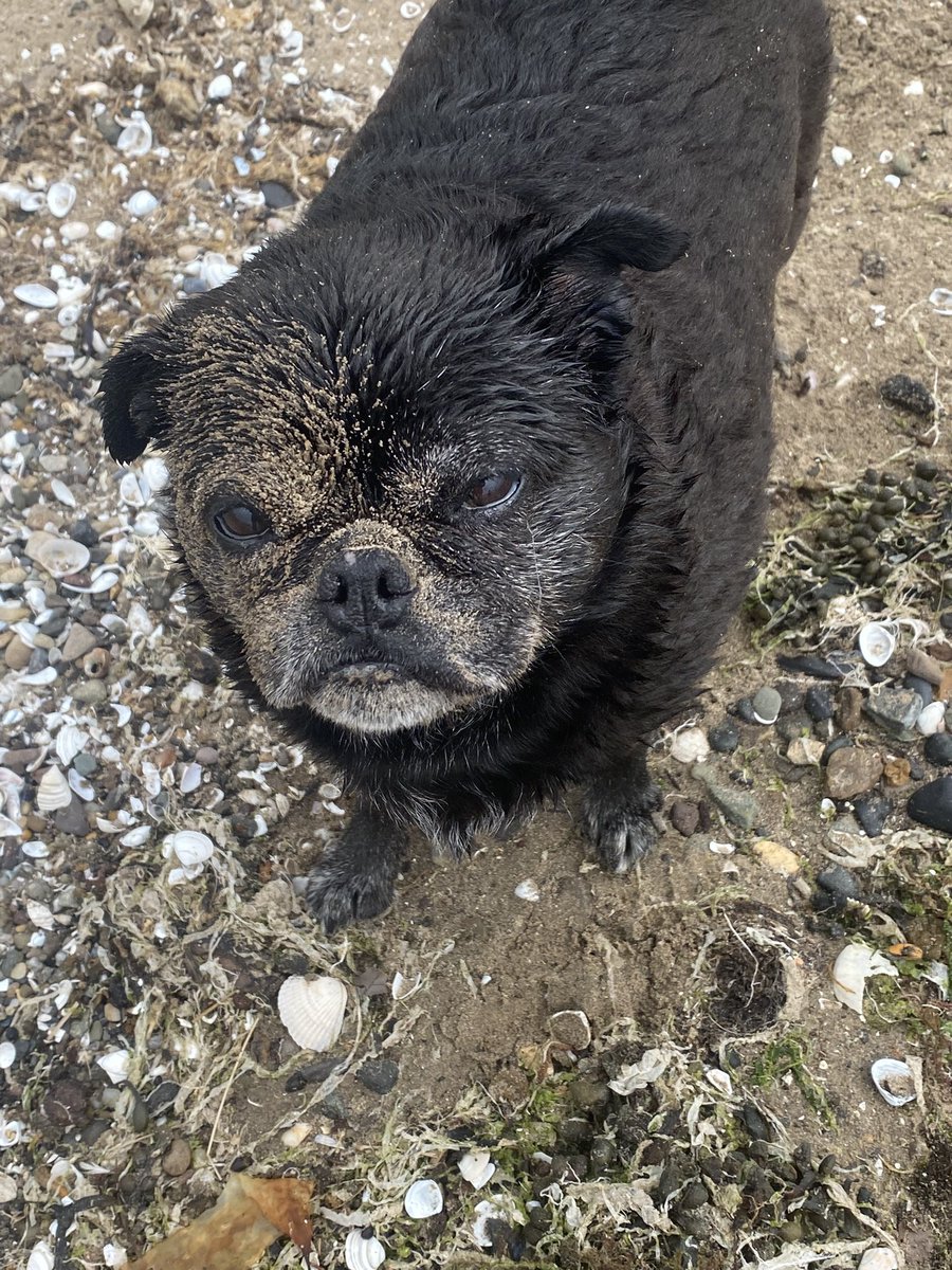 Miss Bell tweet media