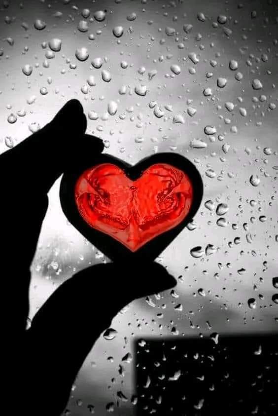 Brillo_y_luz's tweet image. La vida a veces
regala amor a quien
no sabe utilizarlo,
a quien no sabe valorarlo,
al que distrae su mirada,
a quien solo daña ...
Es que el amor es un regalo
pero saber amar es un don ... ✨️