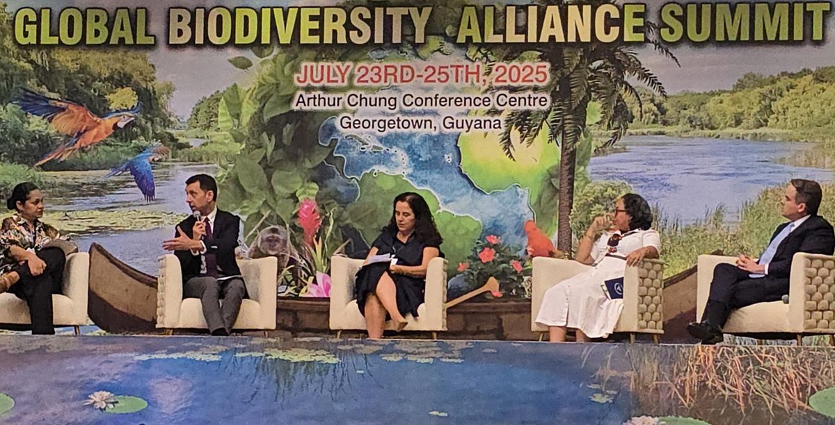 FAOclimate's tweet image. Today at the Global Biodiversity Alliance Summit @FAO Director @KavehZahedi2030 encouraged investment in a sustainable #bioeconomy - using nature's bounty to drive prosperity for communities that are custodians of biodiversity
🌍🌿fao.org/biodiversity
#BiodiversitySummit 🇬🇾