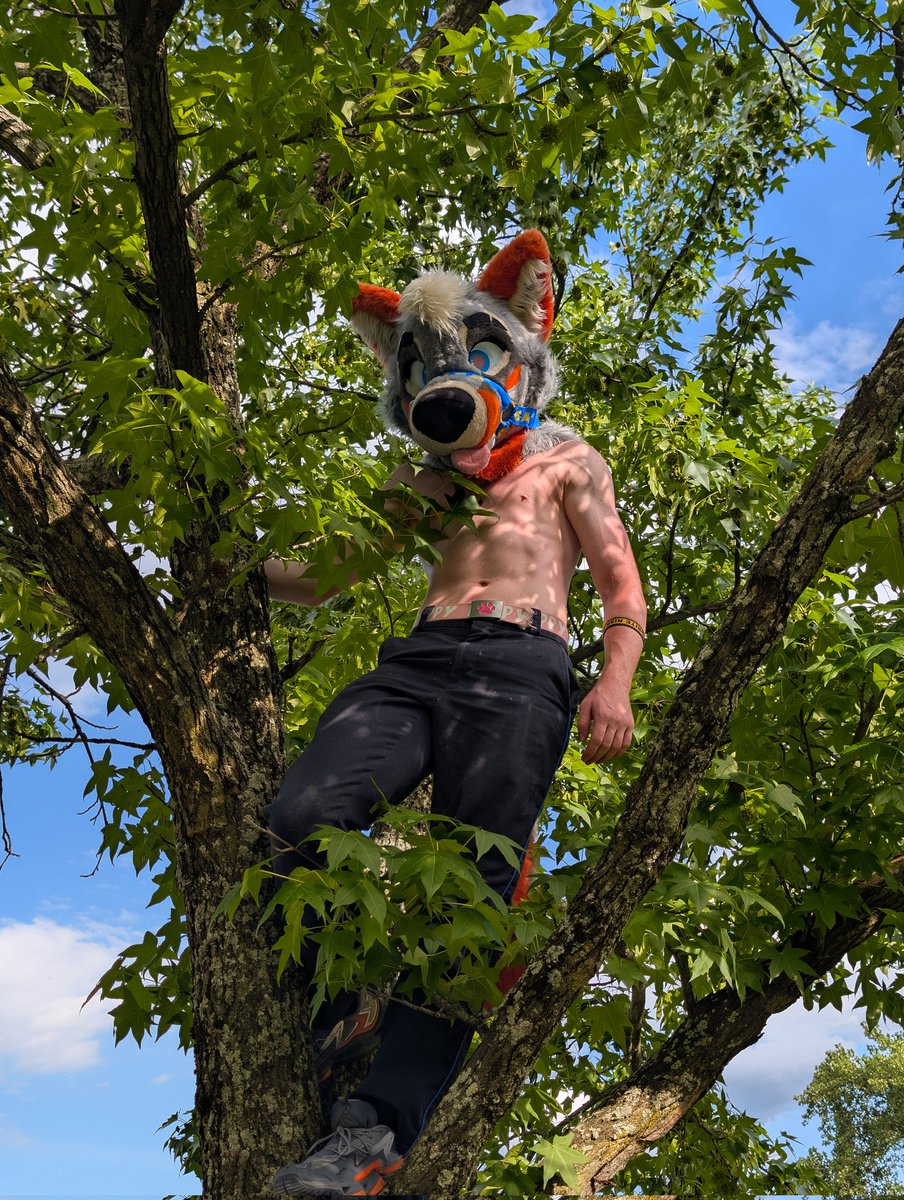 PartDoggo's tweet image. Hello down there 👋