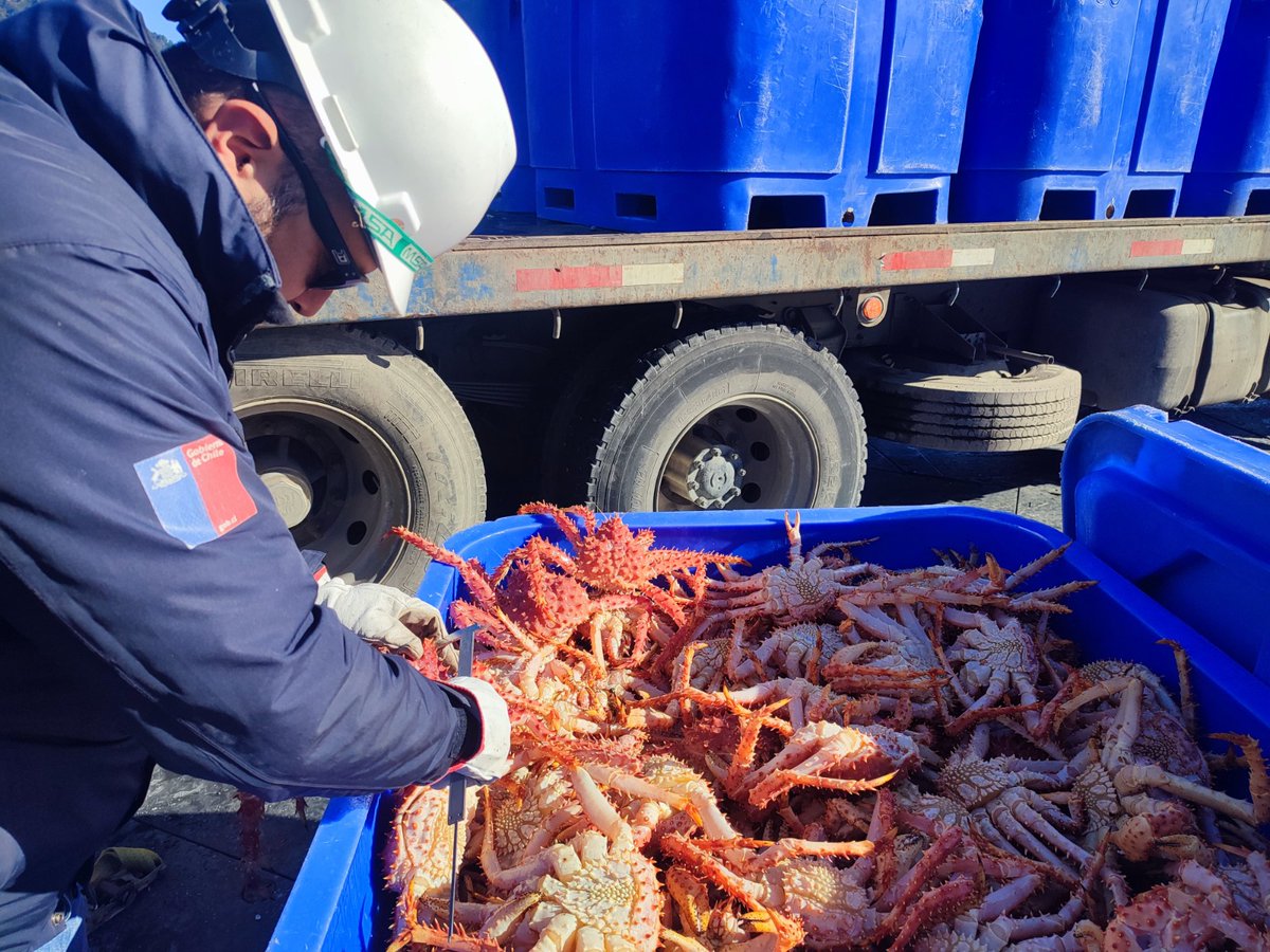 #Aysén: Entregamos balance de las certificaciones de desembarque de recursos pesqueros ocurridos en la región durante el primer semestre del 2025, destacando la permanente labor de control y fiscalización en las caletas y puertos.

Revisa los detalles en: sernapesca.cl/noticias/serna…