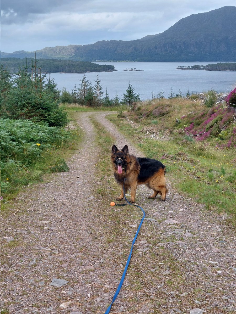 Solar loving life 🥰🥰🥰