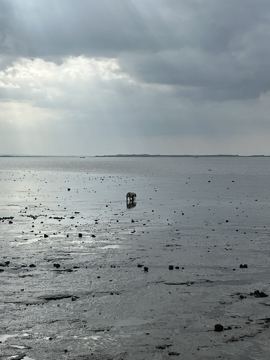 Iain_MacGregor1's tweet image. Whistable nice and quiet for a Friday ...