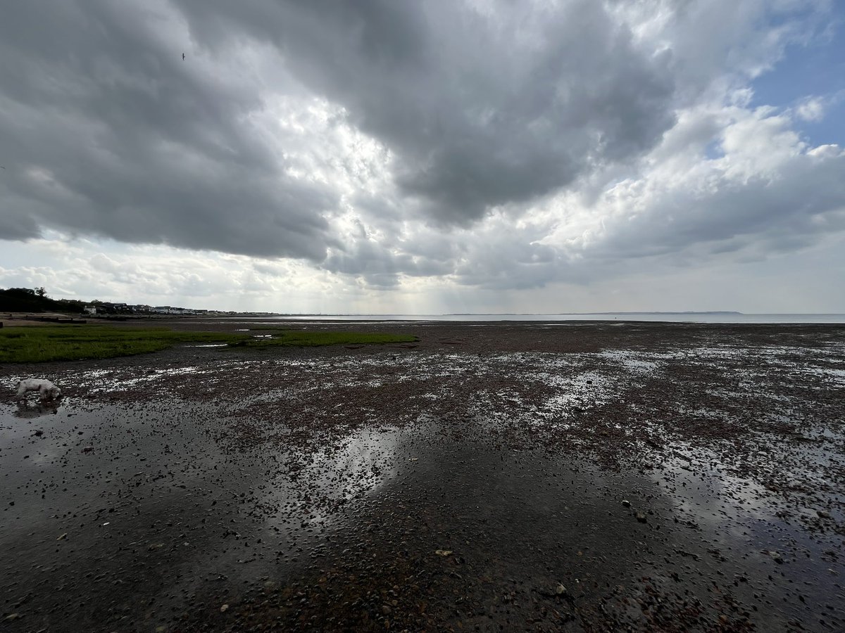 Iain_MacGregor1's tweet image. Whistable nice and quiet for a Friday ...