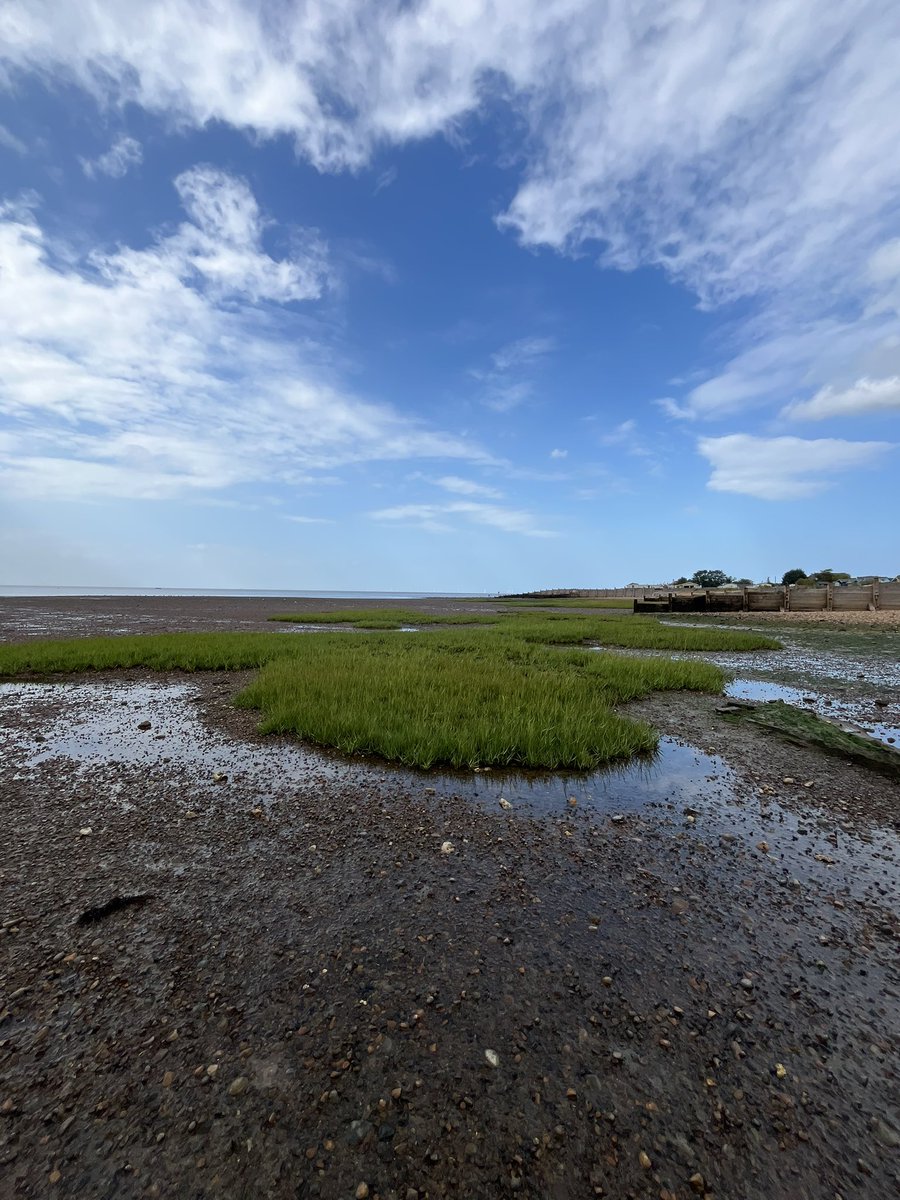 Iain_MacGregor1's tweet image. Whistable nice and quiet for a Friday ...