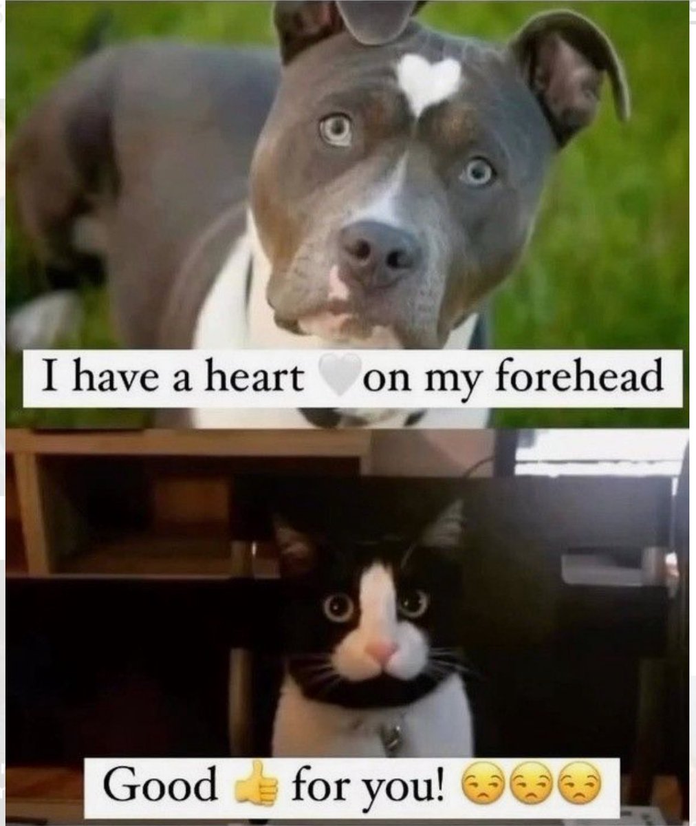 Ooof 🤦‍♀️😁🤣