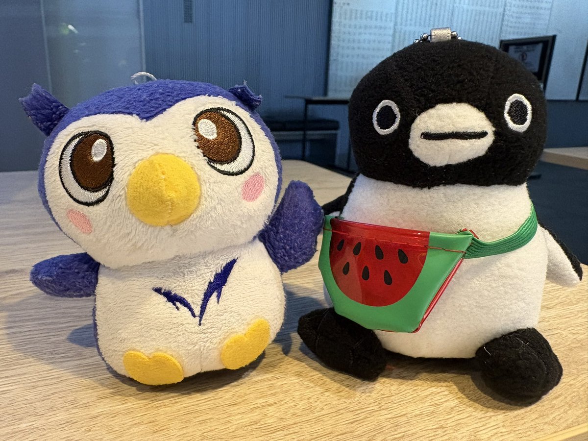 EnNvnjh's tweet image. めいじろうとSuicaのペンギン🦉🐧