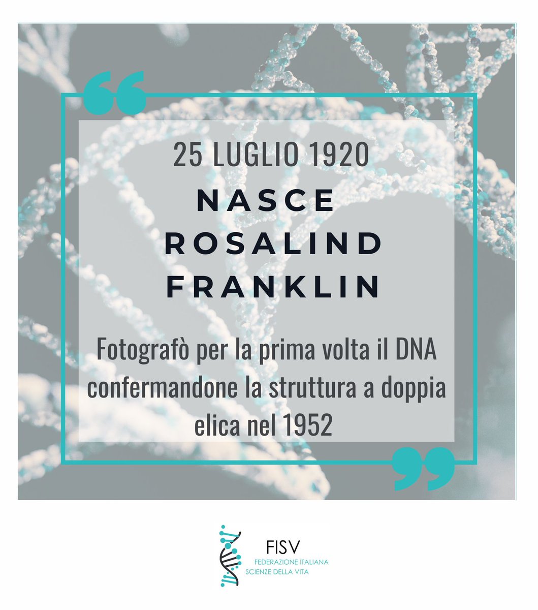 FISV998's tweet image. Con la &quot;Fotografia 51&quot; la biochimica #RosalindFranklin e il dottorando Gosling dimostrano la struttura a doppia elica del DNA nel 1952.
Un contributo determinante ma non riconosciuto: oggi è  simbolo della narrazione delle donne nella ricerca scientifica.
#DNA #womeninscience
