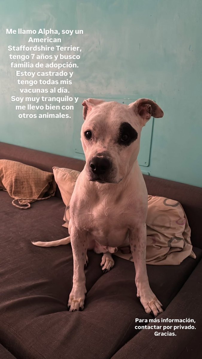 MelUDLP's tweet image. Máxima difusión, por favor.