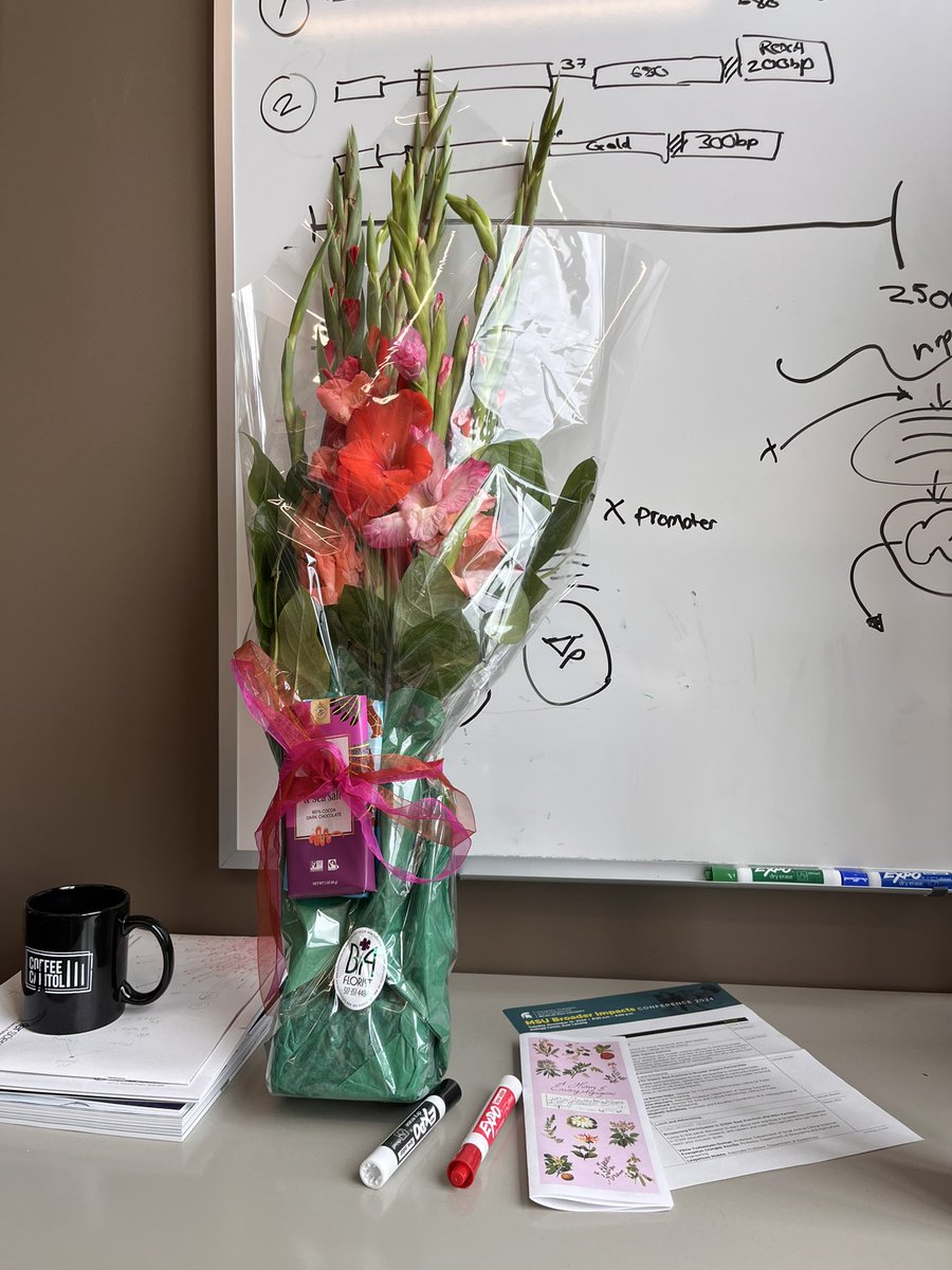 I had the pleasure of mentoring REU student Lauren this summer! Thanks for being part of the lab and the lovely parting gift 🥰 <a href="/michiganstateu/">MSU</a> <a href="/MSU_PSM/">MSU-PSM Department</a>