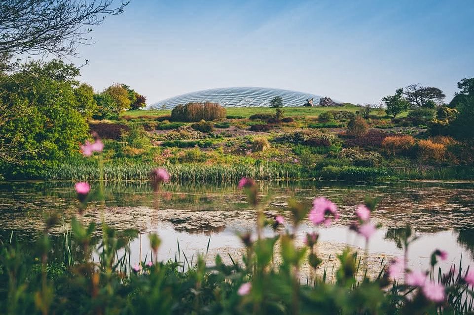 We have a family ticket (2 adults and 4 children) to the National Botanic Garden of Wales in Carmarthenshire to give away to one lucky winner.  

To win:
🌸 Follow us
🌼 Like and Share this #competition post
🌻Tag your friends and family

Competition closes 5pm 3rd August 2025.