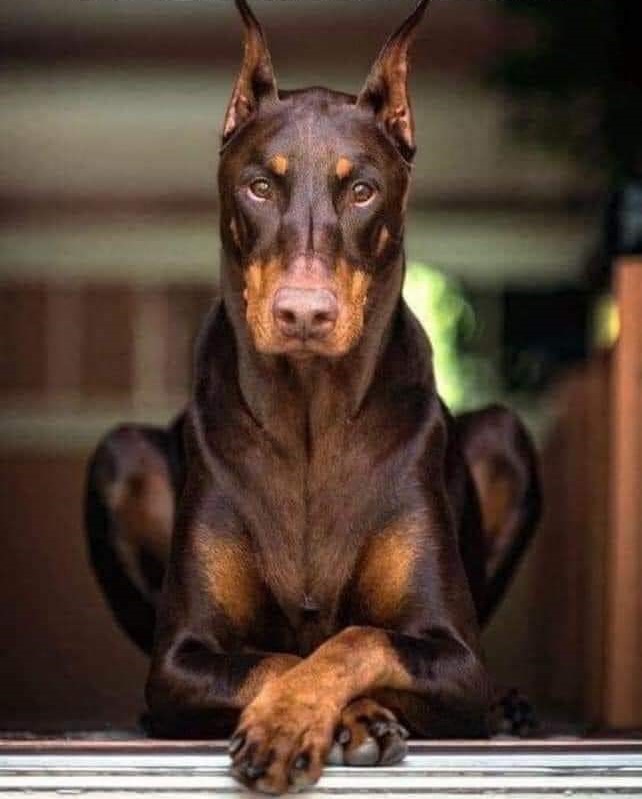Buck17761's tweet image. Boomers and Xers just watching all the bullshit going on....waiting patiently