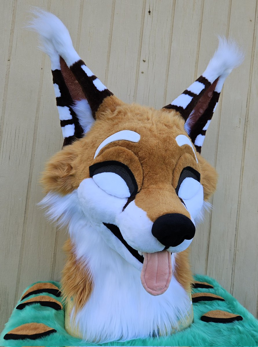 HollydaysInc's tweet image. This boy @FoxWithRamen has a wide range of eyelids to capture all of his personality! Since he was sooo patient with me after the massive @FurryWeekend rush, I threw in some fun looks for him to play with 👁👁
#FursuitFriday #fursuit #fox
