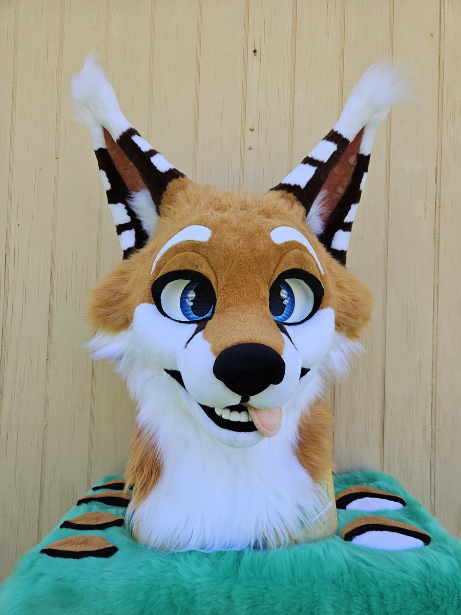 HollydaysInc's tweet image. This boy @FoxWithRamen has a wide range of eyelids to capture all of his personality! Since he was sooo patient with me after the massive @FurryWeekend rush, I threw in some fun looks for him to play with 👁👁
#FursuitFriday #fursuit #fox