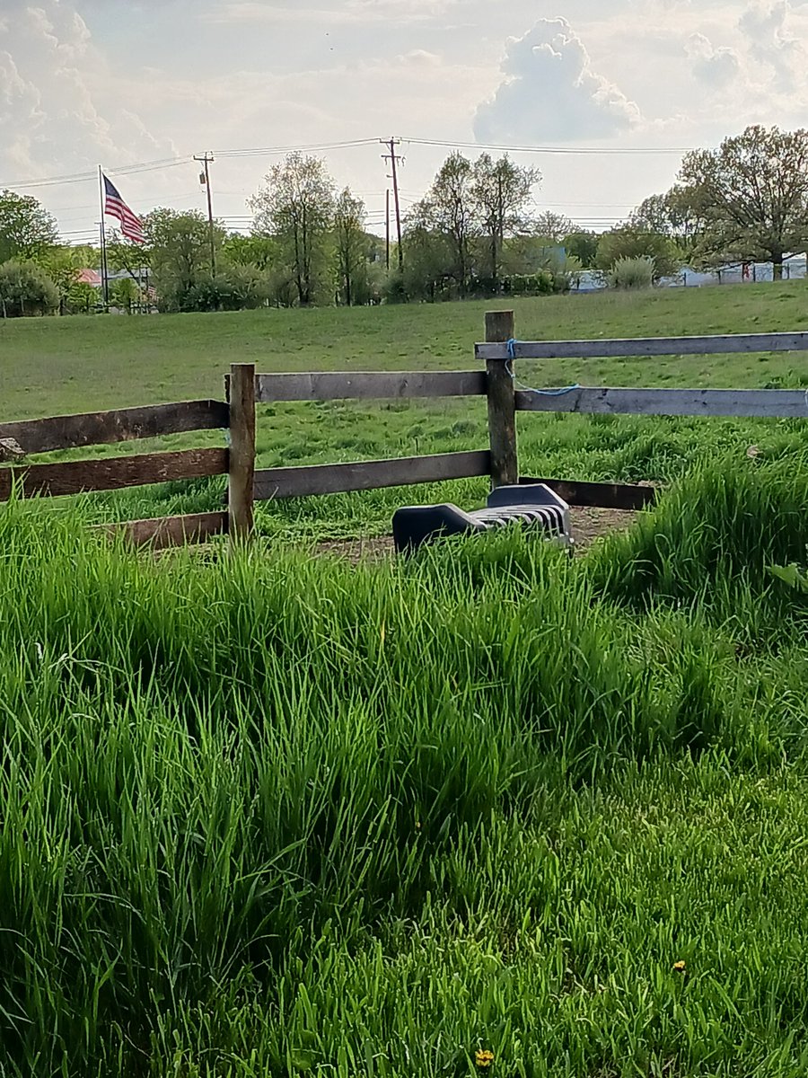 About a month ago buuuuut ya this is the bs I deal with at the barn.... this is the owners "perfect fencing" haha..... sure after I fix it!