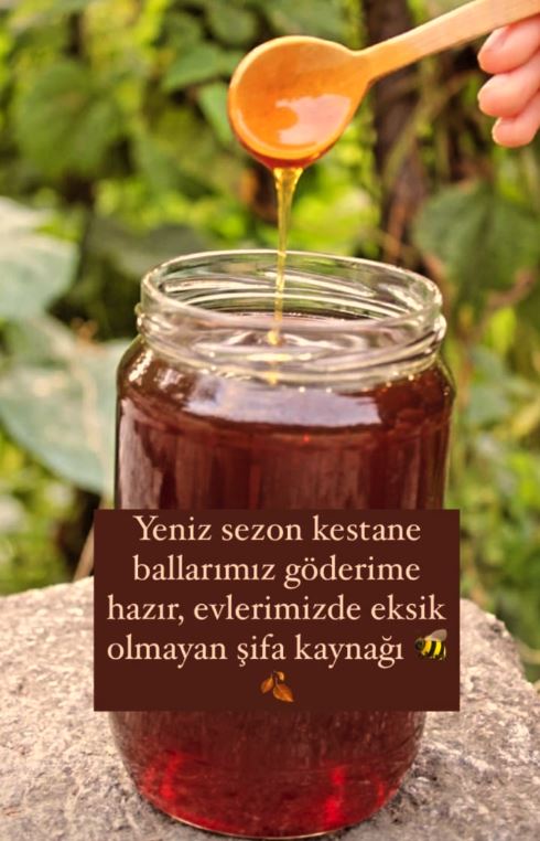 kackarbali's tweet photo. Kaçkar’dan taze hasat! 🐝 1 ton karakovan kestane balı, akasya balı, arı sütü, polen ve tereyağı hazır! Kafkas arısıyla %100 doğal, iyi bal vicdandır. 🌄 Sipariş: https://t.co/MB4h8BoDfv #OrganikBal #KaçkarBalı #bal #çiçekbalı #kestanebalı #yayla #Karadeniz https://t.co/43cQHG5Nmu