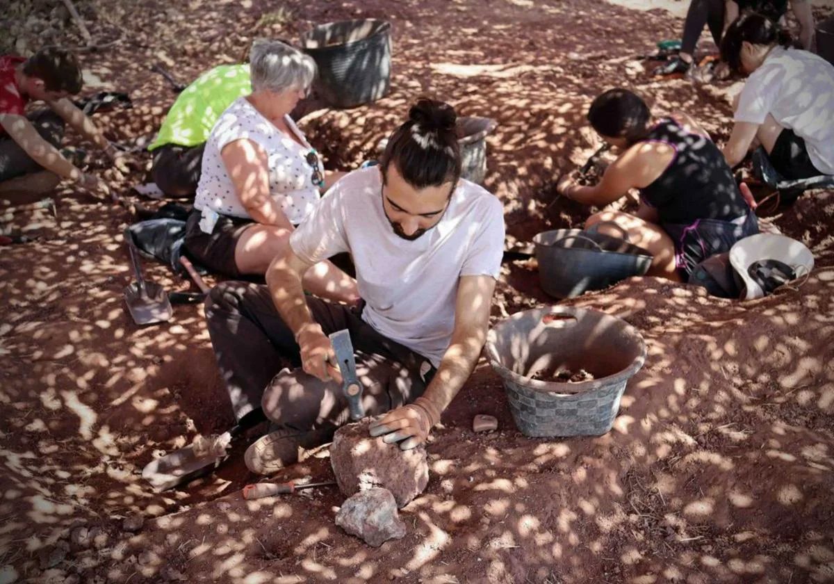 FDinosaurios's tweet image. De 2.000-20.000 €: 28 pueblos recibirán ayuda para excavaciones arqueológicas (@burgosconecta) 38 se presentaron a convocatoria d @DipBurgos; 74% recibirá dinero para excavaciones, prospecciones y documentación del patrimonio arqueológico y paleontológico n9.cl/5j9sp8