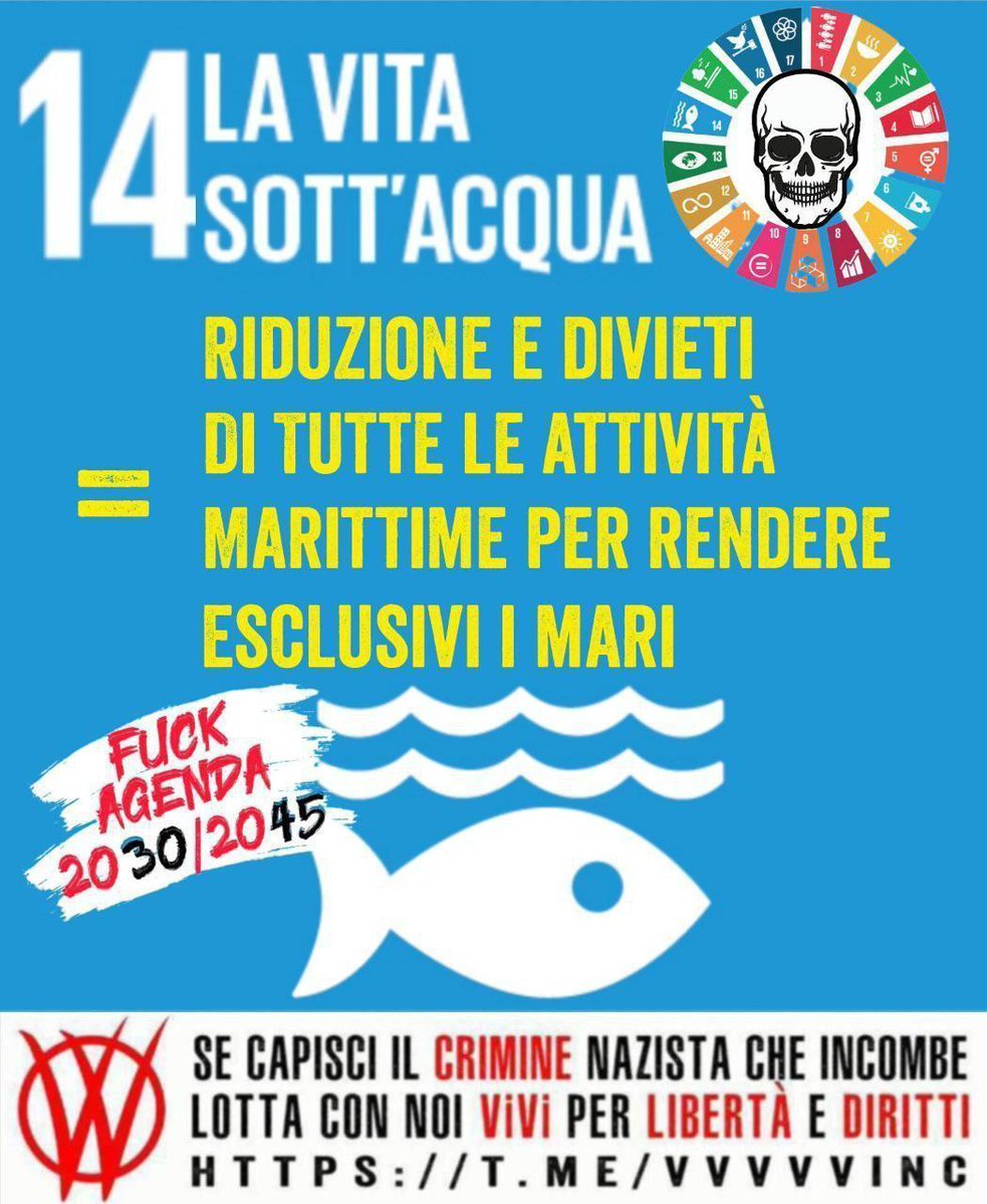 AquiEstamos4668's tweet image. AI FAUTORI DELLA AGENDA 2030/45 L'ECOSISTEMA MARINO NON INTERESSA NULLA. BASTA VEDERE CHE QUESTI CRIMINALI GIOCANO A FARE DIO MODIFICANDO LA GENETICA DEGLI ESSERI VIVENTI.
USERANNO LA SCUSA DELLA CO2 PER TOGLIERCI IL DIRITTO A VIVERE IL MARE, LIMITANDOCI IN TUTTI I MODI.
#V_V