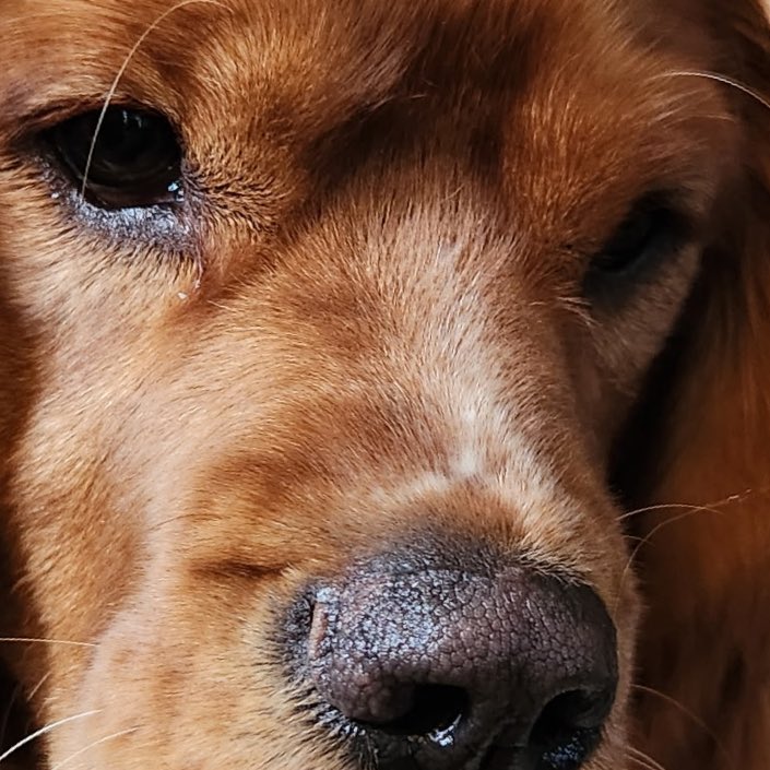 beep beep (@stenchofham) on Twitter photo 