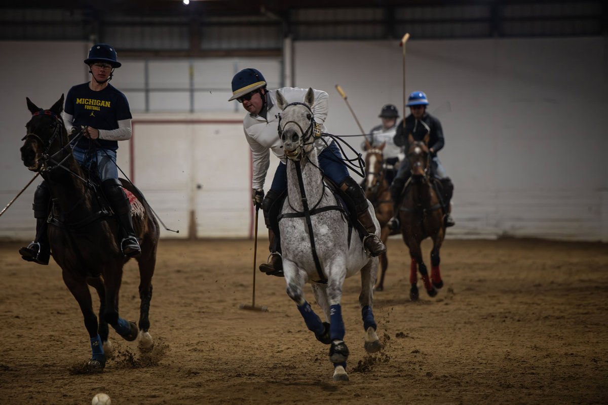 mich_enjoyer's tweet image. Polo Isn’t Just for the Country Club Set
Since the Grand Rapids Polo Club was formed in the 1990s, the sport has had a foothold in West Michigan
By Emily Richett (@EmilyRichett)
Lowell — If you’re driving through the rolling farmland of Lowell, past the cornfields and quiet…