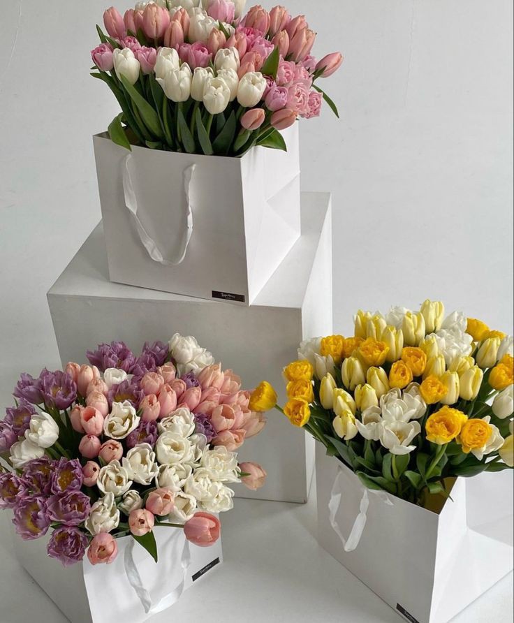 tutututututulip's tweet image. 