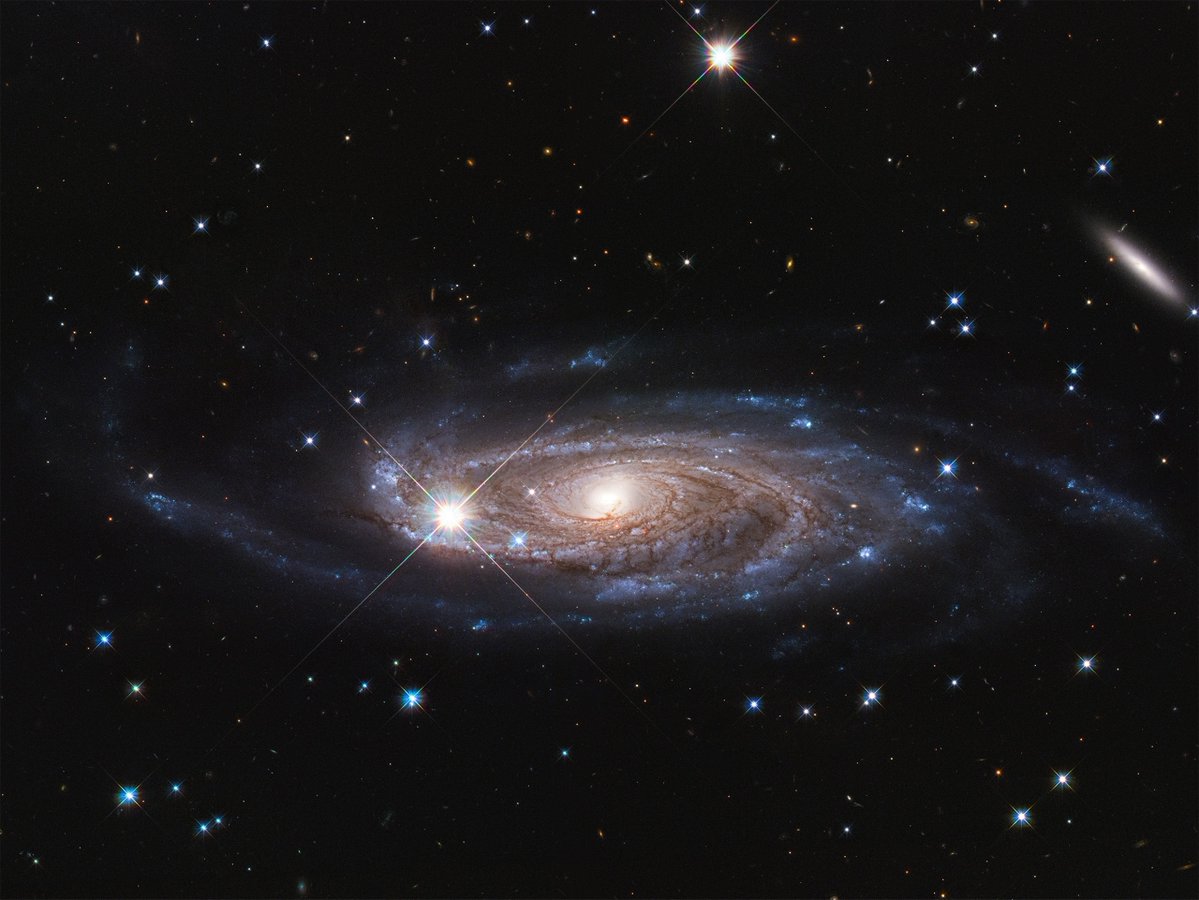 exodusorbitals's tweet image. You can see waves in the spiral arms...