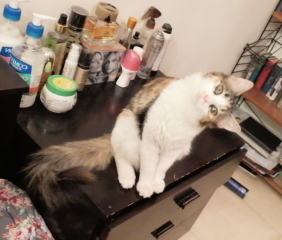 shokaranebamdad's tweet image. شما دخمل عشوه ای منو ببینید
تا دوربین میبینه ژست میگیره :)))