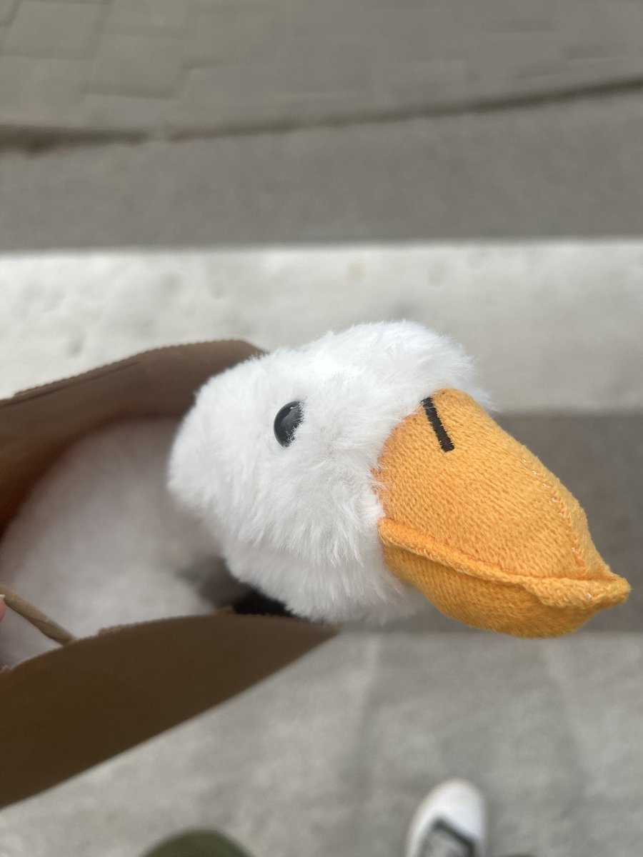 dande_only's tweet image. how i felt at the bookstore when i went to the cashier only holding a goose plushie