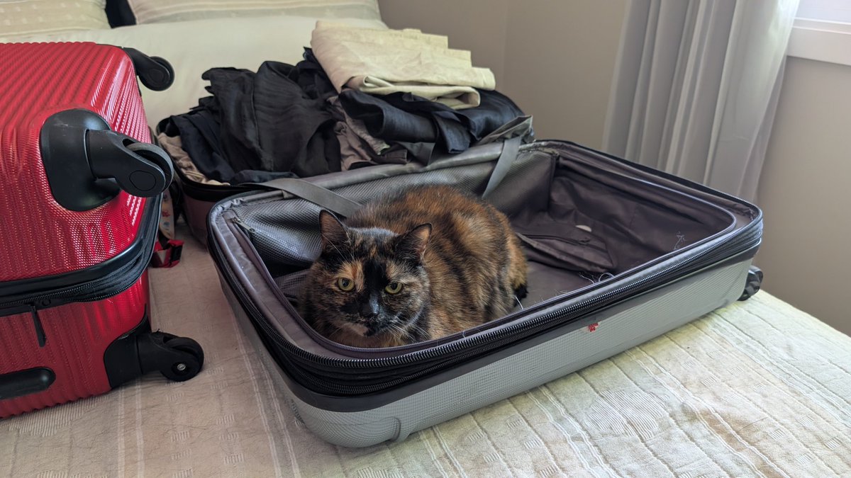 Marco D'Amico tweet media