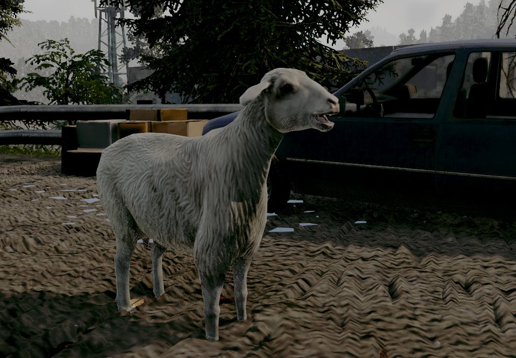 RegionInt's tweet photo. 🐑Sheep Update
#deadpoint #gamedevelopment #survivalgame #madewithunity #unity3d https://t.co/MVhAR18TL7