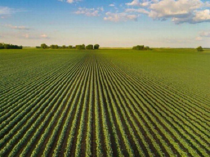BREAKING: Rep. Mary Miller introduces a bill to ban the Chinese Communist Party from owning Farmland in America.