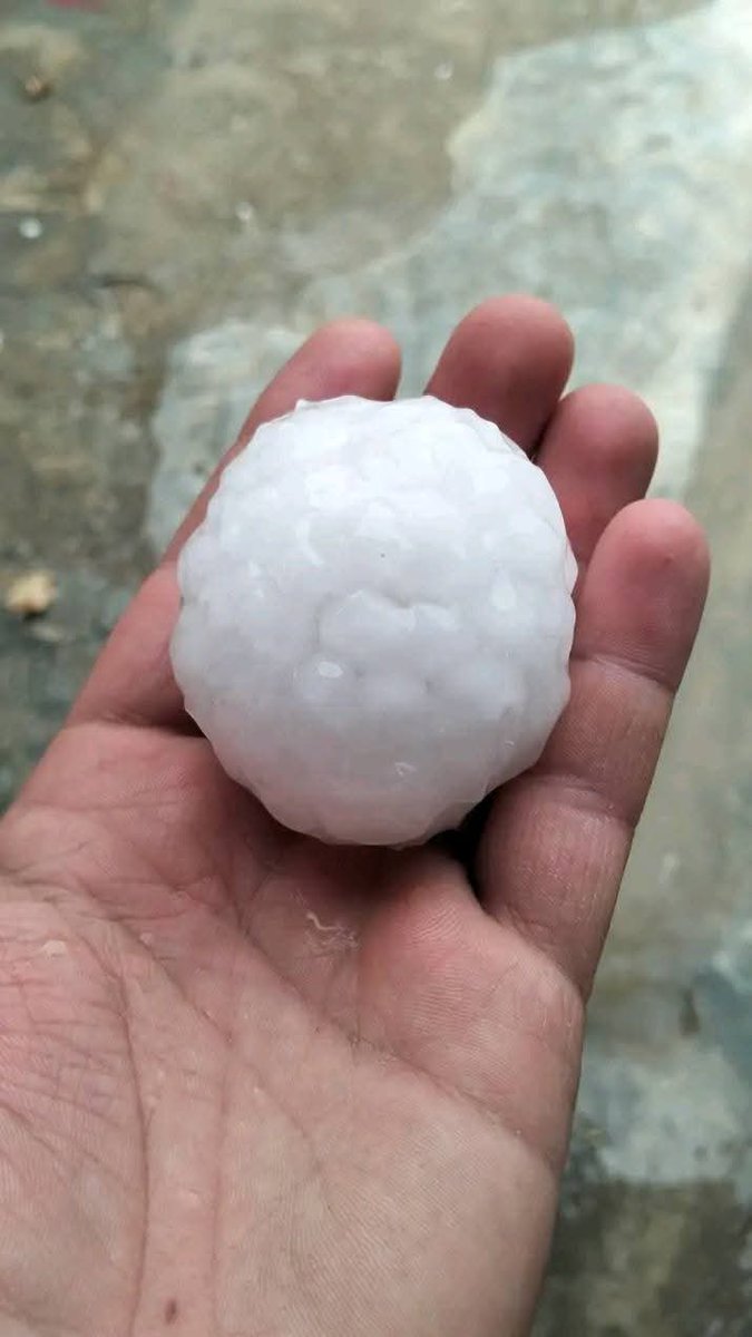 scorpionthedes1's tweet image. 🔴 #عين_ولمان جنوب سطيف بعد تساقط حبات البرد بأحجام ضخمة غير مسبوقة مع⛈️🌩⚠️⛔ خسائر مادية و فلاحية كبيرة 
نسأل الله السلامة