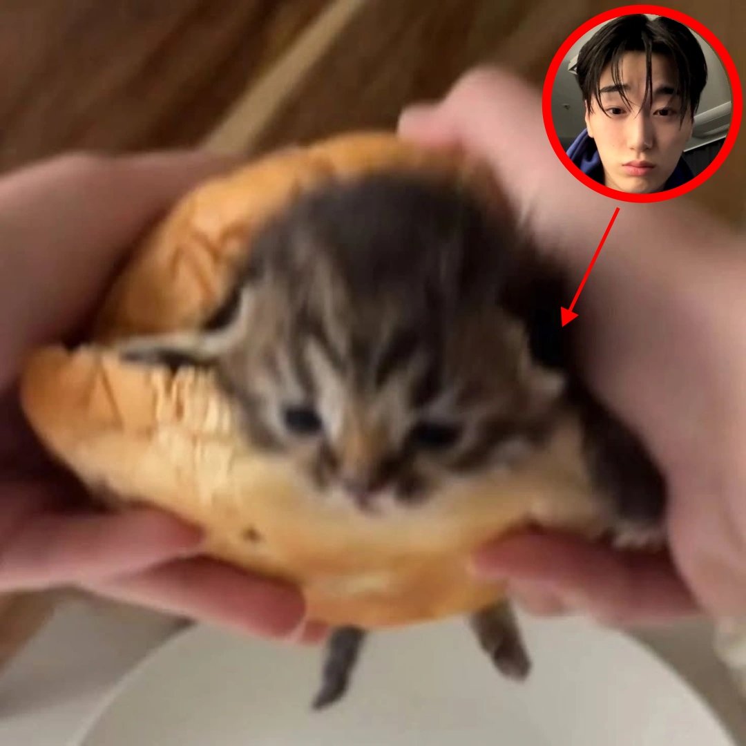 devonskrr's tweet image. 
