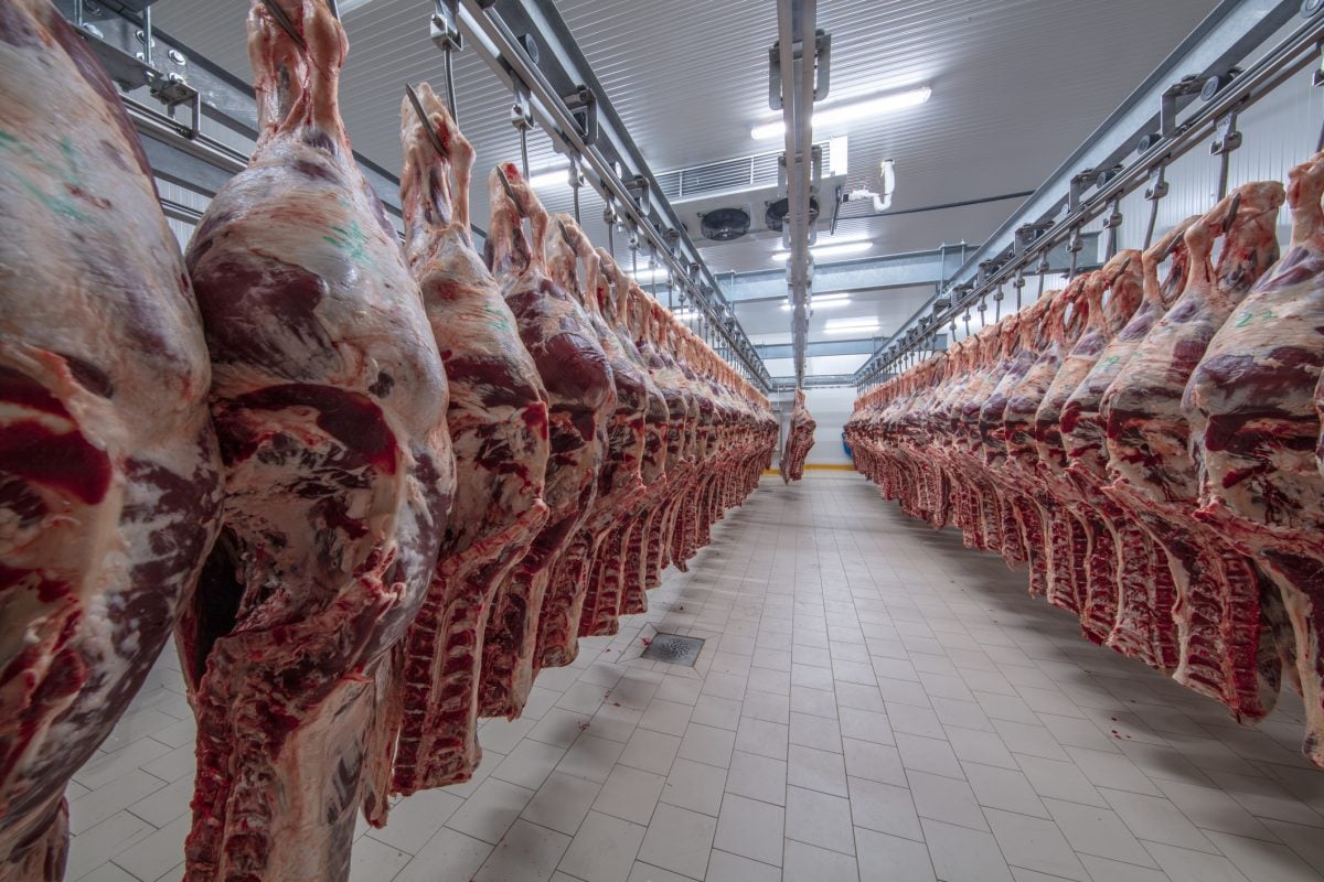 Trump says US will sell ‘so much’ beef to Australia. vist.ly/3z77e