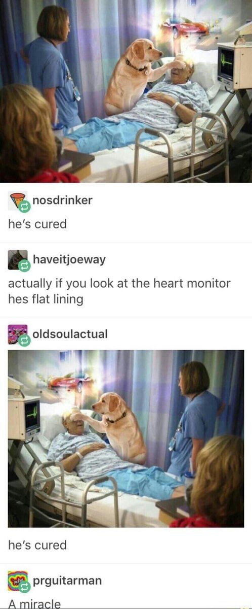 WholesomeMemes (@wholesomememe) on Twitter photo 