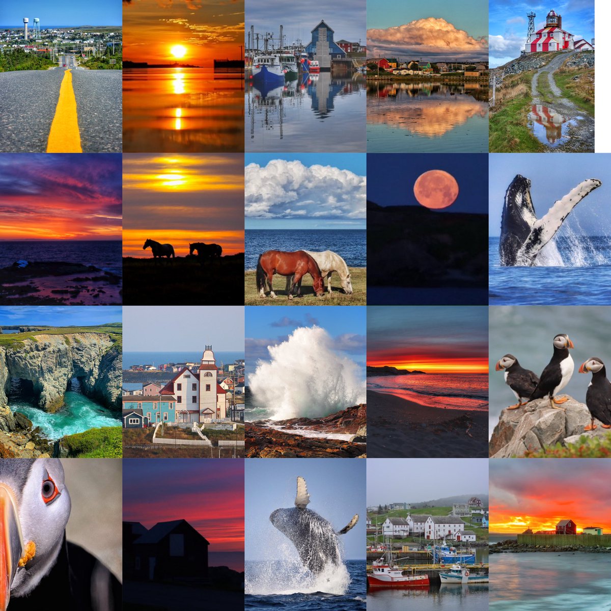 GrayMarker99's tweet image. Even though I’m not at home in Bonavista today, I’d like to send greetings because it’s Bonavista Day!
Happy Bonavista Day to a great town with a lot of great people!
🎉🎉✨✨