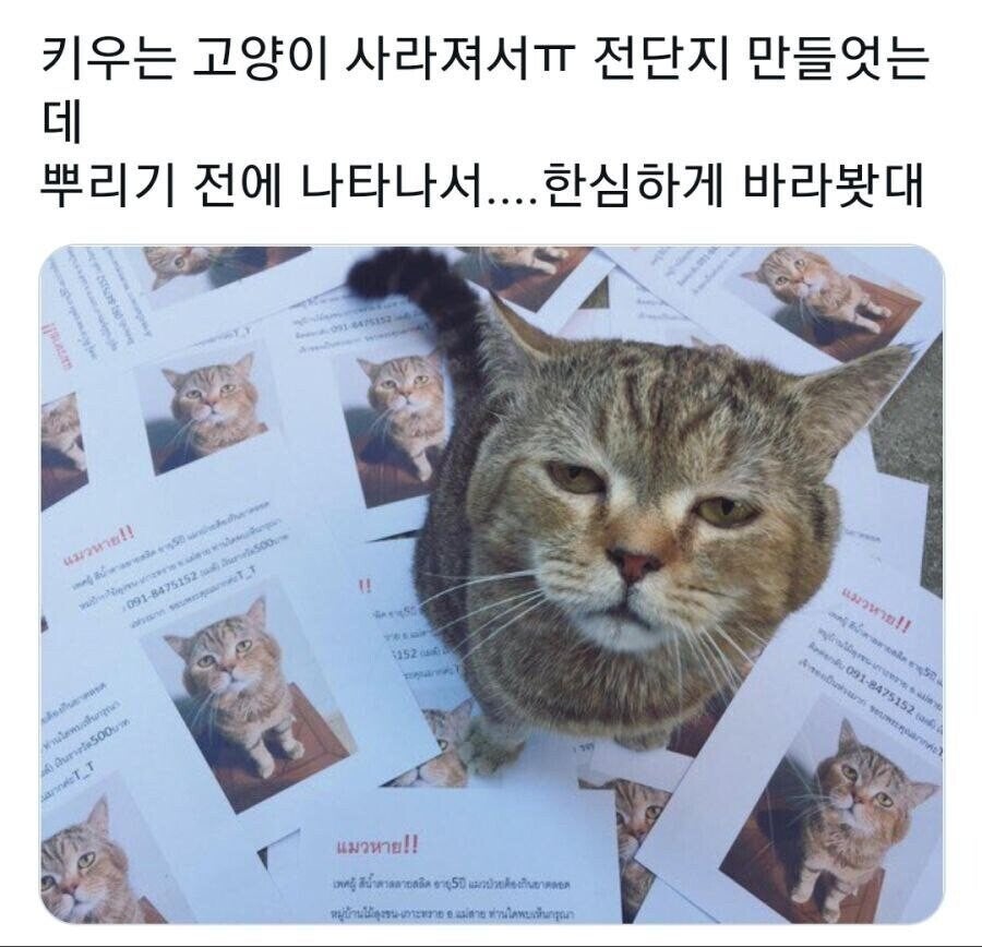 annemaryS2's tweet photo. 첸샤다 https://t.co/UA4HjTHATx