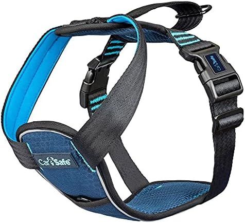 SistersInBiz's tweet photo. As you travel this weekend, please remember to secure your pets while traveling
Using harnesses, seat belts & crates helps keep your beloved pets safe!
Pet Safety Kit for Cars — with life-saving essentials you can keep in your car: https://t.co/3nSQ1ZEhhD
#petsafety #Petsafe https://t.co/aHDBwusn3E