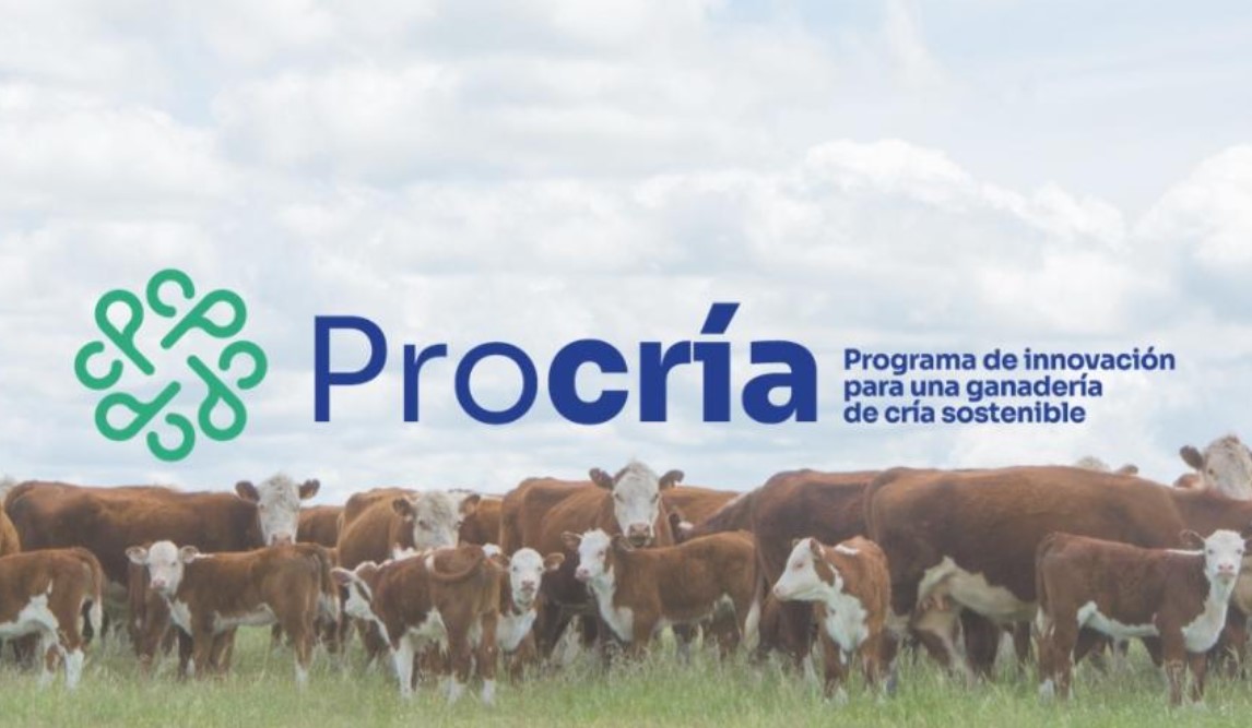 Hasta el 17 de agosto se encuentra abierta la convocatoria para participar del programa Procría. Acceda a la noticia sobre el seminario técnico realizado esta semana en el Palacio Legislativo y más detalles en el siguiente enlace.
inia.uy/noticias/ganad…