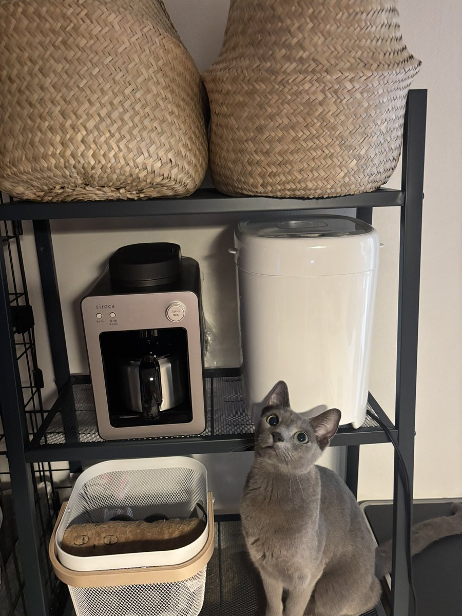 銀次郎 (@ginjirow_0929) / Posts / X