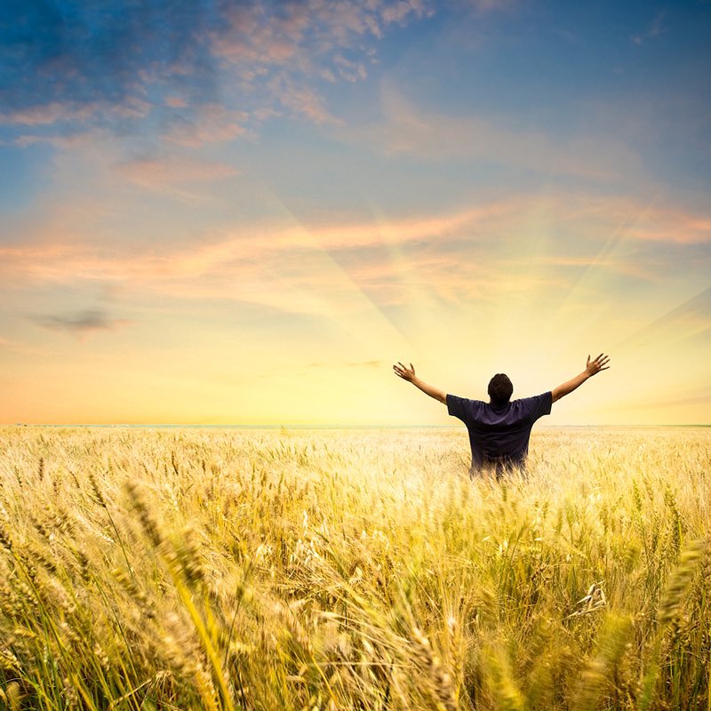 bryptobenj's tweet image. What it feels like to use Joey Wallet:
