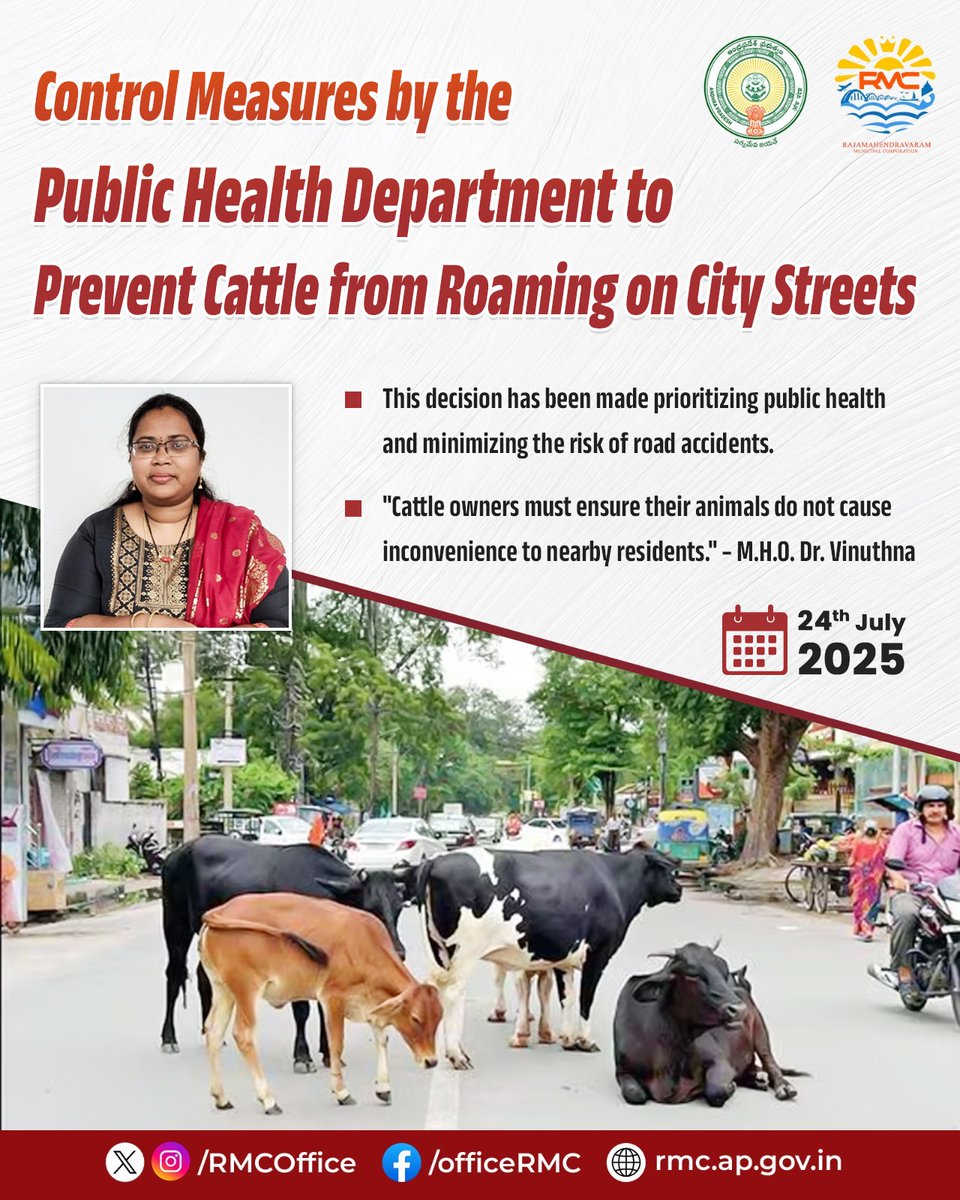 RMCoffice's tweet image. To prevent road accidents, traffic jams, and hygiene issues, RMC has taken measures to prevent the stray cattle menace. MHO Dr. Vinuthna said that strict action will be taken against those violating civic rules. Let’s keep our city clean, green, and safe for everyone!
📞For any…