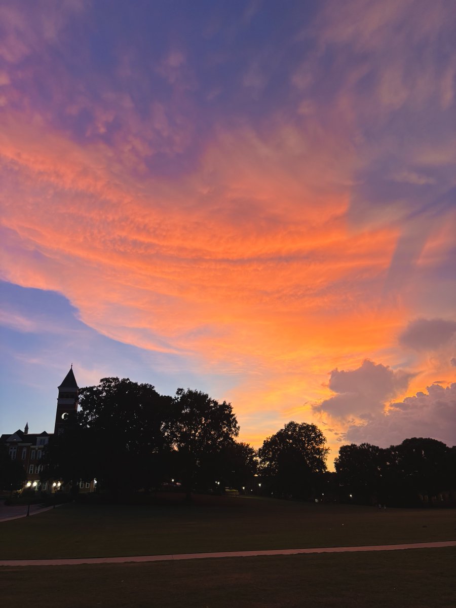 ClemsonUniv's tweet image. Happy Solid Orange Friday.

Addy Steele 📸