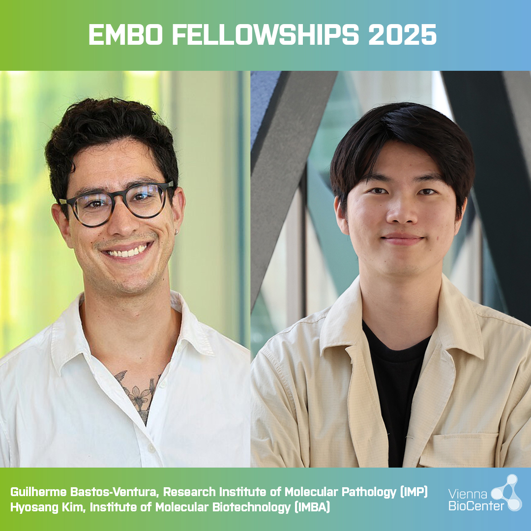 viennabiocenter's tweet image. Two Vienna BioCenter PostDocs have been awarded a prestigious EMBO Postdoctoral Fellowship
Congratulations to Guilherme Bastos-Ventura (IMP) and Hyosang Kim (IMBA) on this achievement!
viennabiocenter.org/about/news/two…